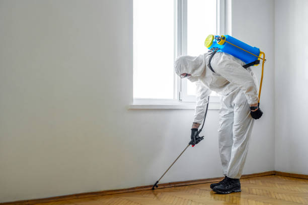 Best Emergency Pest Control  in Newberry, FL